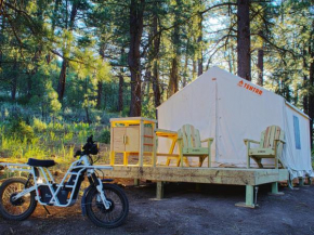 Tentrr - Lost Sierra Base Camp 2